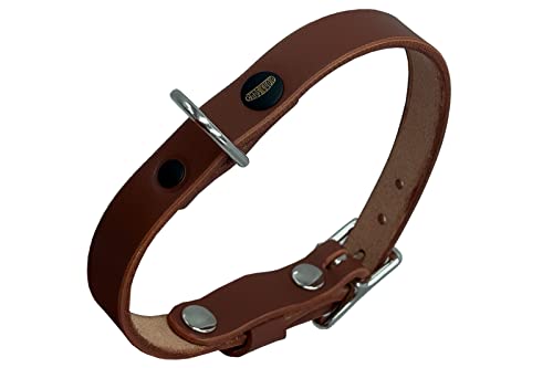 Lederhalsband Hund, Hundehalsband für den großen, mittleren und kleinen Hund,hundezubehör (S verstellbar 31–37 cm, Höhe 1,5 cm,Dunkelbraun) von ends cuoio