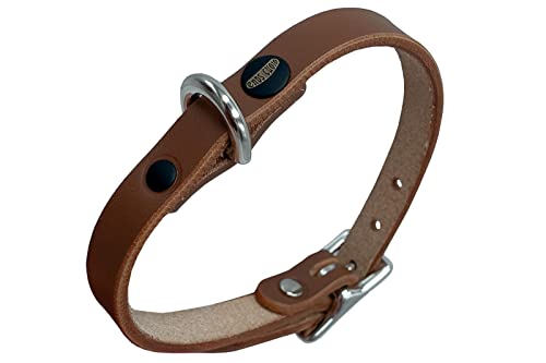 Lederhalsband Hund, Hundehalsband für den großen, mittleren und kleinen Hund,hundezubehör (XS verstellbar 26–32 cm, Höhe 1 cm, Desert tan) von ends cuoio