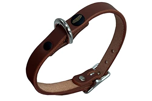 Lederhalsband Hund, Hundehalsband für den großen, mittleren und kleinen Hund,hundezubehör (XS verstellbar 26–32 cm, Höhe 1 cm, Dunkelbraun) von ends cuoio