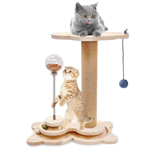 Katzenkratzbaum mit hängenden Bällen, Interaktives Katzenspielzeug mit 2 Schichten Schienen Spinning Balls für Indoor Katzen und Kätzchen, Kätzchen Sisal Kratzspielzeug mit Katzen-Leckerli-Spender von entapuk