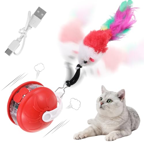 ertlutw Interaktives elektrisches Katzenspielzeug, automatische Hindernisvermeidung, geeignet für Hauskatzen, über USB wiederaufladbar (rot) von ertlutw