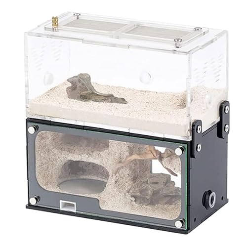 Acryl-Ameisenfarm, Ameisen-Terrarium, Ameisenhaus, kann gespleißt Werden, Ameisennest, Nachahmung, Original, ökologischer Beton, Ameisenwerkstatt, Insektenvilla, Ameise Acryl-Ameisenfarm, Ameisen-Terrarium, Ameisenhaus, kann gespleißt Werden, Ameisennest, Nachahmung, Original, ökologischer Beton, Ameisenwerkstatt, Insektenvilla, Ameise von esmen