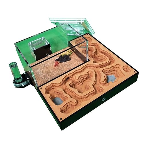 Ameisennest, Ameisenhaus, Ameisenterrarium, Ameisenwerkstatt, Insektenvilla, Ameisenfütterungsbox, Acryllabyrinth, Ameisennestfarm, tolle Bürodekoration, Nest von esmen