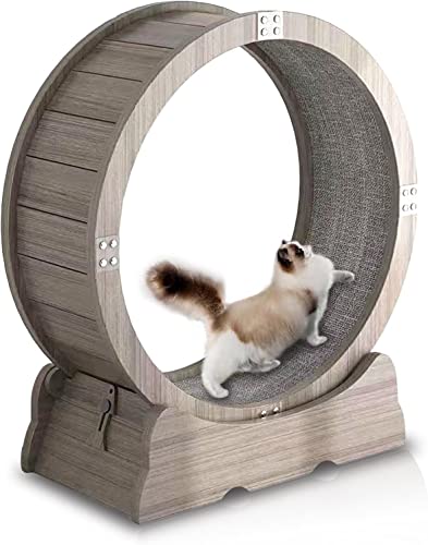 Hundelaufband 39-Zoll-Katzenrad, Laufband für Katzen, Gerät zur Gewichtsabnahme, verhindert Bewegungsmangel bei Katzen, Haustierspielzeug zum Laufen, Spinnen, Kratzen Hundelaufband 39-Zoll-Katzenrad, Laufband für Katzen, Gerät zur Gewichtsabnahme, verhindert Bewegungsmangel bei Katzen, Haustierspielzeug zum Laufen, Spinnen, Kratzen von esmen