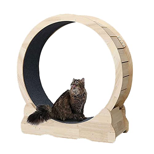 Hundelaufband Laufband für Katzen, Laufrad für Katzen, Laufrad für Katzen, Training, Fitness, Gewichtsverlust, mit Laufsteg mit Teppichboden für die Gewichtsabnahme und Bewegung von Haustieren Hundelaufband Laufband für Katzen, Laufrad für Katzen, Laufrad für Katzen, Training, Fitness, Gewichtsverlust, mit Laufsteg mit Teppichboden für die Gewichtsabnahme und Bewegung von Haustieren von esmen