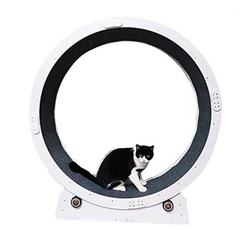 Hundelaufband Laufband für Katzen, leises Katzenlaufrad, Katzenkratzbrett, kein Spalt, Laufrad für Katzen, Gewichtsverlustgerät für Katzen im Innenbereich Hundelaufband Laufband für Katzen, leises Katzenlaufrad, Katzenkratzbrett, kein Spalt, Laufrad für Katzen, Gewichtsverlustgerät für Katzen im Innenbereich von esmen