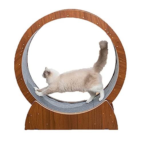 Hundelaufband Laufrad für Katzen, Laufband für Katzen, Gerät zum Abnehmen, leises Laufrad für Haustiermöbel, perfekt zum Abnehmen oder für energische Katzen Hundelaufband Laufrad für Katzen, Laufband für Katzen, Gerät zum Abnehmen, leises Laufrad für Haustiermöbel, perfekt zum Abnehmen oder für energische Katzen von esmen