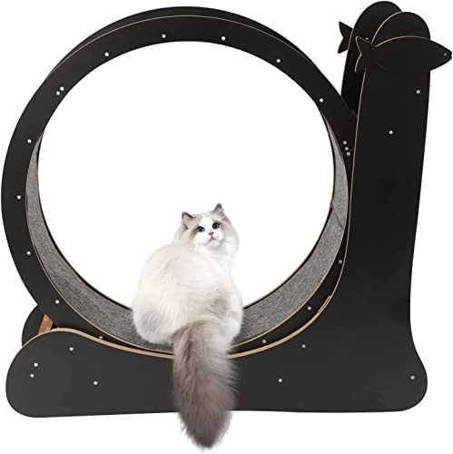 Hundelaufband Laufrad für Katzen, Laufband für Katzen, runde Laufräder mit Teppichlaufbahn, Gewichtsverlustgerät für Katzen zum Abnehmen und Trainieren von Haustieren Hundelaufband Laufrad für Katzen, Laufband für Katzen, runde Laufräder mit Teppichlaufbahn, Gewichtsverlustgerät für Katzen zum Abnehmen und Trainieren von Haustieren von esmen
