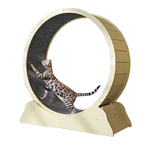 Hundelaufband Laufrad für Katzen, Laufrad für Katzen, Kratzbrett für große Katzen, Laufband für Haustiere, Gewichtsverlust, Katzenspielzeug für Katzen und Kätzchen im Innenbereich Hundelaufband Laufrad für Katzen, Laufrad für Katzen, Kratzbrett für große Katzen, Laufband für Haustiere, Gewichtsverlust, Katzenspielzeug für Katzen und Kätzchen im Innenbereich von esmen