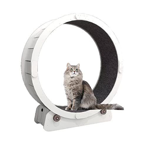 Hundelaufband Laufrad für Katzen, Laufrad für Katzen im Innenbereich, Laufband für Katzen, Laufband mit Teppichboden, großes Katzenspielzeug, Fitnessrollen für Katzen Hundelaufband Laufrad für Katzen, Laufrad für Katzen im Innenbereich, Laufband für Katzen, Laufband mit Teppichboden, großes Katzenspielzeug, Fitnessrollen für Katzen von esmen