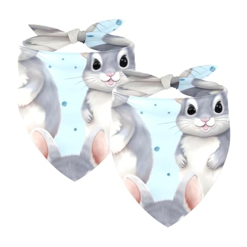 Hundehalstuch, niedliches Baby-Chinchillas, waschbar, Dreieck-Lätzchen, Halstuch für kleine, mittelgroße und große Hunde, Katzen, Haustiere, 2 Stück Hundehalstuch, niedliches Baby-Chinchillas, waschbar, Dreieck-Lätzchen, Halstuch für kleine, mittelgroße und große Hunde, Katzen, Haustiere, 2 Stück von etoenbrc