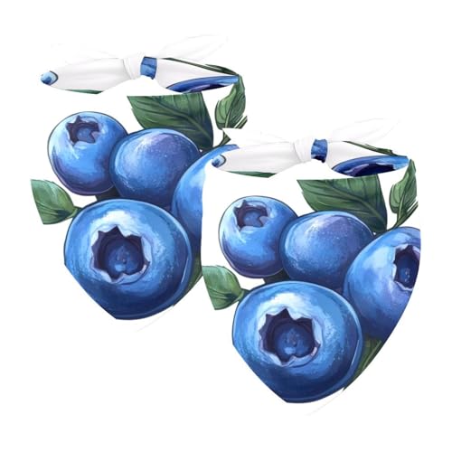 Hundehalstuch, verstellbar, Dreieckstuch für kleine, mittelgroße und große Hunde, Katzen, Haustiere, frische Blaubeerblätter, 2 Stück Hundehalstuch, verstellbar, Dreieckstuch für kleine, mittelgroße und große Hunde, Katzen, Haustiere, frische Blaubeerblätter, 2 Stück von etoenbrc