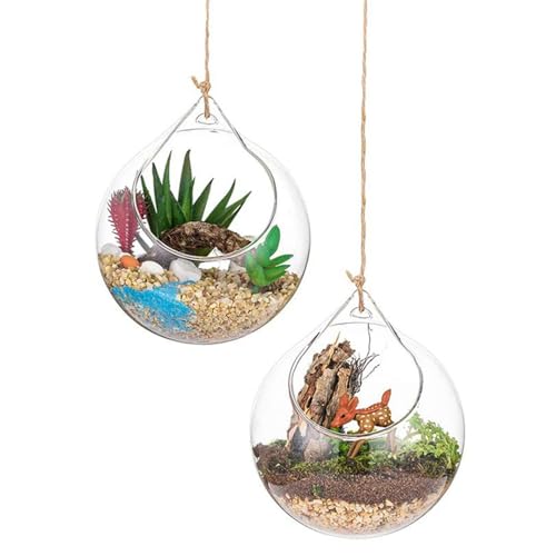 Glas Terrarium Globes 2pcs 3,93 Zoll transparent runde große Öffnung Hanging Terrarium Glasglas Hängende Teelichthalter Innendekoration von eurNhrN