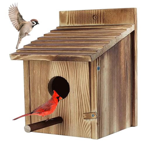 Vogelhäuser Vogelhäuser für außen, hölzerne Bluebird -Häuser für Außen von eurNhrN
