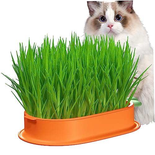 eurNhrN Katzengras -Pflanzer Boden geschichtetes Katzengrassamenschale 7.48x7.40x1,30 Zoll Süßes Karottenform Kindergarten ohne Samen Haustier Vorräte von eurNhrN