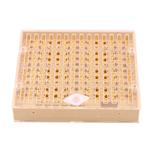 Beekeeping Queen Breeding Cup Box Cell Bar Block Cap Hair Roller Cage Imkerausrüstung Beekeeping Queen Breeding Cup Box Cell Bar Block Cap Hair Roller Cage Imkerausrüstung von evhooe