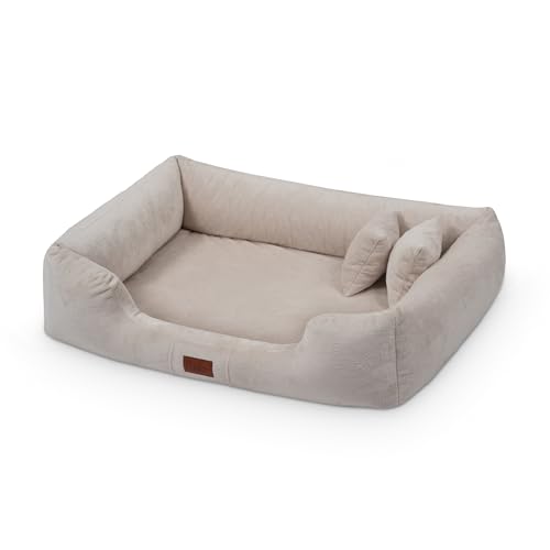 exclusive BED Orthopädisches Hundebett Candy Grosse Mittelgroße Kleine Hunde - Hundekissen Hundematte aus Plüsch - rutschfest Kuschelig Langlebig Abriebfest Reißfest (L+|90x70cm, Creme) von exclusive BED