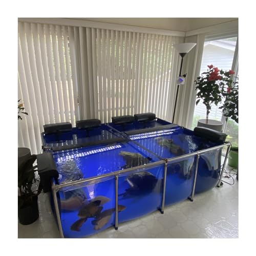 Hinterhof Aquarium Pool Teich Mit Transparenter Sichtscheibe, PVC-Leinwand Mit Stahlrahmen, Aufzuchtbecken Für Koi Goldfisch Display Show Tank (Farbe : Blue-Clear, Größe : 100x70x61cm) von ezkxoprs