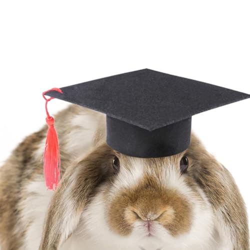 Haustier Dr. Hut, Hunde und Hamster Bachelor Kostüm, Hamster Abschlusskostüm mit Roter Quaste, Haustier Bachelor für Hunde Katzen Hamster von fanelod