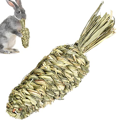 Meerschweinchen-Spielzeug, Kleintier-Aktivitätsspielzeug, Molarenzahnpflege für Kaninchen, Meerschweinchen, Hamster, Rennmäuse, Chinchilla von fanelod