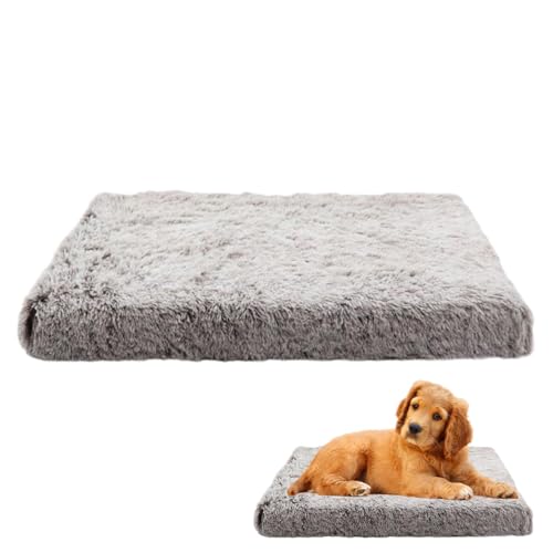 Pet Warming Pad, Warm Cat Warmer Bed, Double Side Dog Crate Pad, Warm Thermal Pet Pad, Cat Heating Pad, Non Electric Winter Pet Bed Removable For Pets Cats Dogs Pet Warming Pad, Warm Cat Warmer Bed, Double Side Dog Crate Pad, Warm Thermal Pet Pad, Cat Heating Pad, Non Electric Winter Pet Bed Removable For Pets Cats Dogs von fanelod