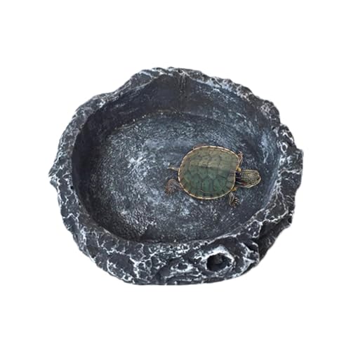 Schildkröte Futternapf Reptilien Wassernapf Haustier Futternapf Reptilien Futternapf Ecknapf Wasserschale Futternapf für Eidechsen, Schildkröten, Eidechsen, Schlangen, Mehlwürmer Schalen, Superwurm Schildkröte Futternapf Reptilien Wassernapf Haustier Futternapf Reptilien Futternapf Ecknapf Wasserschale Futternapf für Eidechsen, Schildkröten, Eidechsen, Schlangen, Mehlwürmer Schalen, Superwurm von fanelod