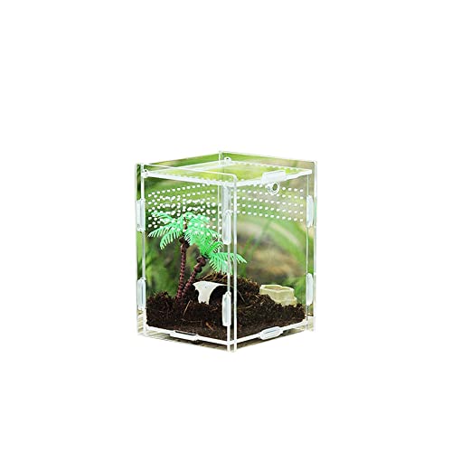 Transparentes Reptilienbecken | Magnetisches Reptilien-Haustier-Kletter-Terrarium – Acryl-Futterbox für Haustiere, Klettern, Terrarium, Reptilienzuchtkoffer, Vogelspinne, Skorpionschlinge, Isopoden Transparentes Reptilienbecken | Magnetisches Reptilien-Haustier-Kletter-Terrarium – Acryl-Futterbox für Haustiere, Klettern, Terrarium, Reptilienzuchtkoffer, Vogelspinne, Skorpionschlinge, Isopoden von fanelod