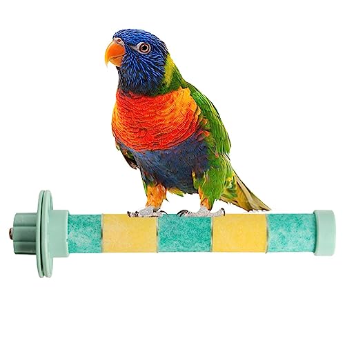 Vogelständer-Spielzeug | Frosted Parrot Standing Pole - Spielzeug zum Krallenschärfen für Sittiche, Wellensittiche, Turteltauben, mittelgroße Papageien und Nymphensittiche Fanelod von fanelod