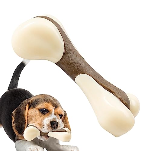 fanelod Molar Clean Teeth Knochenspielzeug,Robustes Hundezahnbürstenspielzeug für Aggressive Kauer | Sicheres, unzerstörbares Hundespielzeug für kleine Hunde und Welpen von fanelod