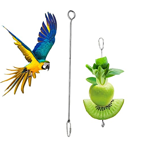 fanelod Vogelfruchtspieß, Edelstahl Gemüse Vogel Stick, Gemüse Vogel Leckerli Spieß, Haustier Papageien Vögel Spieß, Futter Halter Stick für Hahn Henne Vögel fanelod Vogelfruchtspieß, Edelstahl Gemüse Vogel Stick, Gemüse Vogel Leckerli Spieß, Haustier Papageien Vögel Spieß, Futter Halter Stick für Hahn Henne Vögel von fanelod
