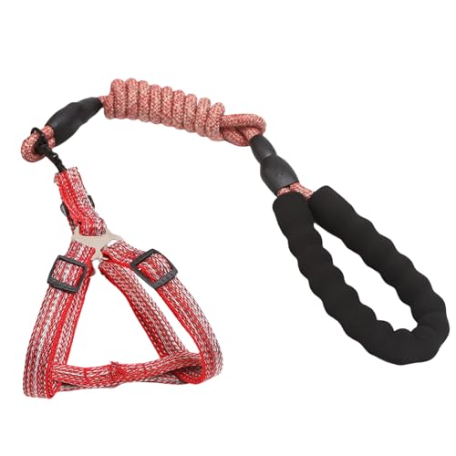Hundegurt zum Laufen und Schwimmen für und große Hunde, lange Leine, mehrfarbig, Trainingsseil für Hunde Hundegurt zum Laufen und Schwimmen für und große Hunde, lange Leine, mehrfarbig, Trainingsseil für Hunde von fanlangyi