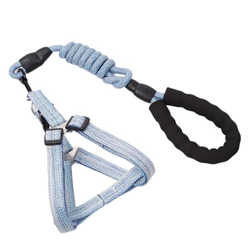 Hundegurt zum Laufen und Schwimmen für und große Hunde, lange Leine, mehrfarbig, Trainingsseil für Hunde Hundegurt zum Laufen und Schwimmen für und große Hunde, lange Leine, mehrfarbig, Trainingsseil für Hunde von fanlangyi