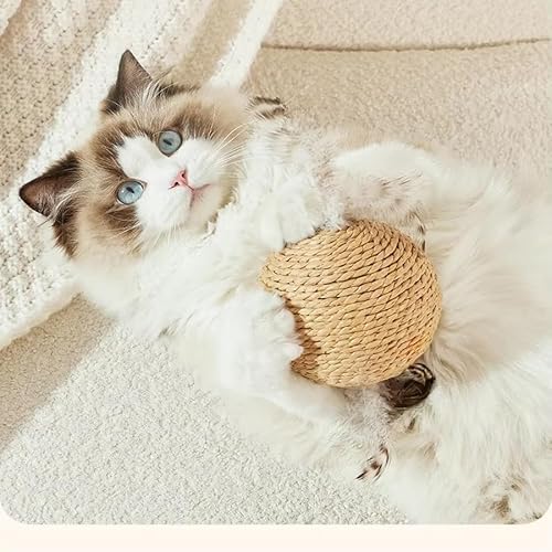 Katzen-Sisalball, 10 cm, verschiedene Farben, Sisalbälle für Katzen zum Kratzen, Klopfen, Beißen oder Jagen, interaktives Anreicherungsspielzeug für Innenkatzen, zufällige Farbe von fatdaa