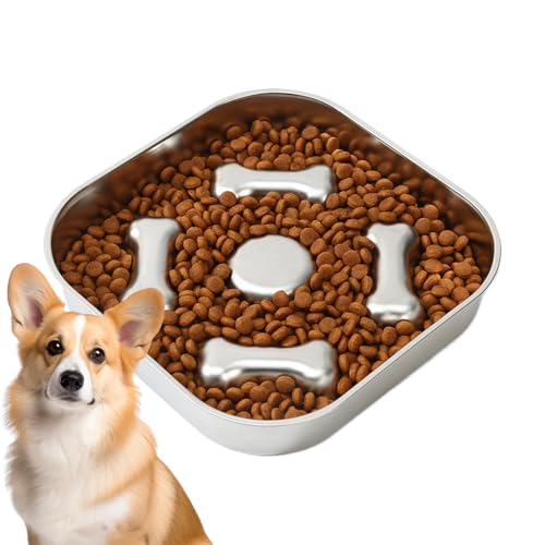 fayarrd Hundeschale langsamer Feeder, langsamer Feeder | Edelstahl -Haustier -Fütterungsschale - Anti-Rutsch-Biss-resistente langsame Feeder für kleine mittelgroße Hunde Katzen Essgewohnheiten von fayarrd