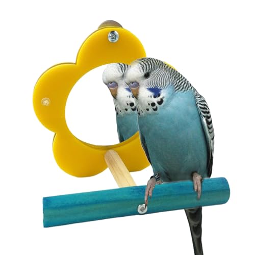 fayarrd SCAKEET -Spiegel für Käfig, Vogel -Sichtweite Spiegel,Papageienspielzeug Mirror Cockatiel Perch - Kautenblütenform Shot -Spielzeug, Haustiervorräte für Cockatiel Lovebird Finch Canaries von fayarrd