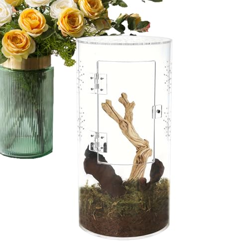 fayarrd Spinnengehäuse, Spinnen -Terrarium | Arboreal Reptile Acryl Tank - Belüftete wasserdichte Lebensraum mit Vorderöffnetür für Tarantulas, Mantis, Einsiedlerkrabben und kleine Haustiere von fayarrd