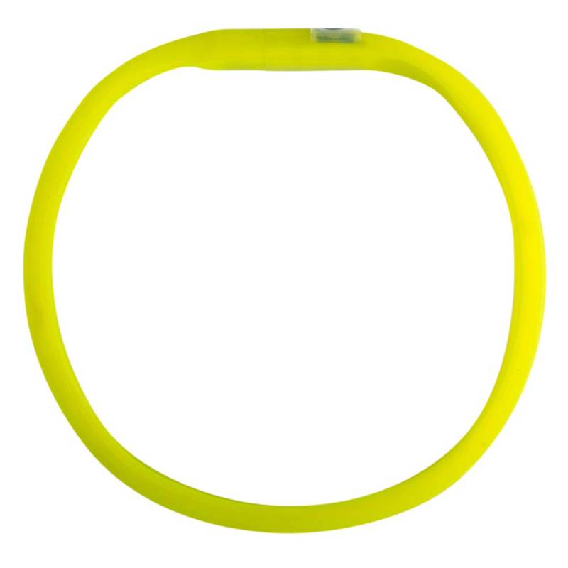 TRIXIE Hunde-Leuchthalsband Flash grün, Gr. L-XL, Breite: ca. 17 mm, Länge: ca. 70 cm von TRIXIE