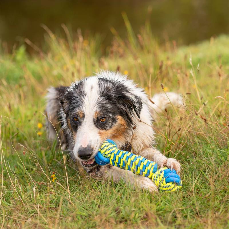 Hunde-Wasserspielzeug Knot Bone blau-gelb, Maße: ca. 28 x 7,3 x 7,3 cm von fehlt