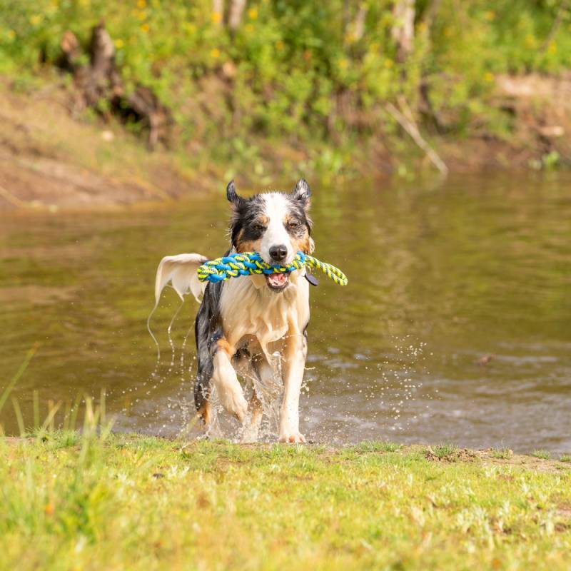 Hunde-Wasserspielzeug Tug Rope blau, Gr. L, Maße: ca. 45 x 5 x 5 cm von fehlt