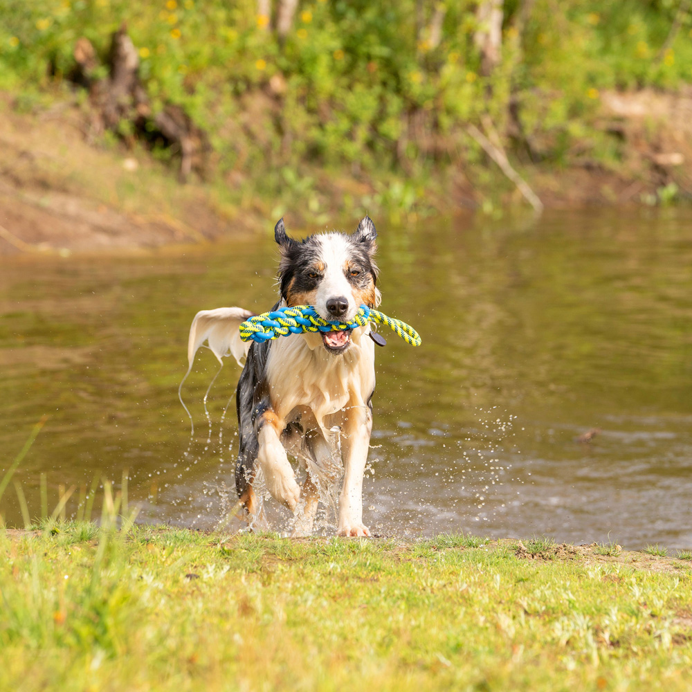 Hunde-Wasserspielzeug Tug Rope blau-gelb, Gr. S, Maße: ca. 38 x 5 x 5 cm von fehlt