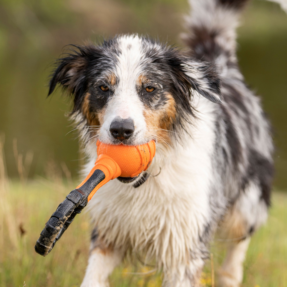 Hundespielzeug Griff-Ball schwarz-orange, Länge: ca. 26 cm von fehlt