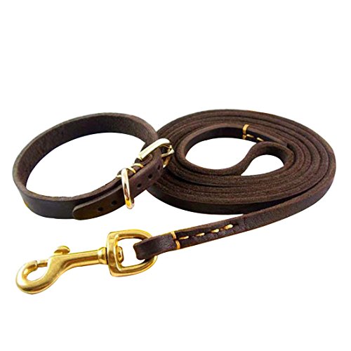 1.6M Hundeleine und Halsband Echtleder Hundführleine Geflochten Haustier Schleppleine Lederleine Hundehalsband Halskette Martingal Dog Leash Collar Welpen Klein Mittlere Hunde (Stitching, S) von feiling