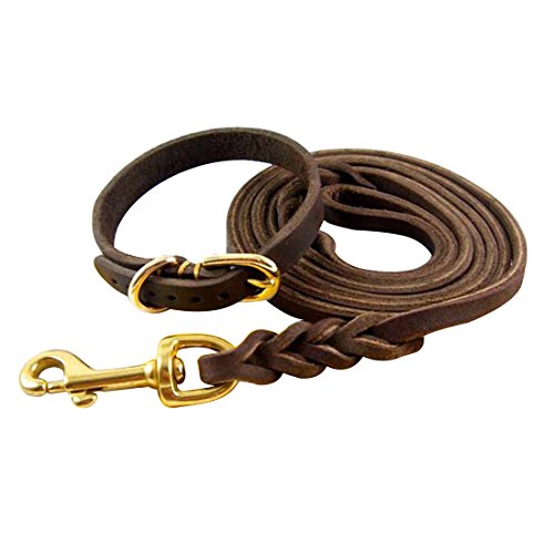 1.6M Hundeleine und Halsband Echtleder Hundführleine Haustier Schleppleine Lederleine mit Hundehalsband Halskette Martingal Dog Collar Halsbandleine für Welpen Klein Mittlere Hunde (Geflochten, S) von feiling