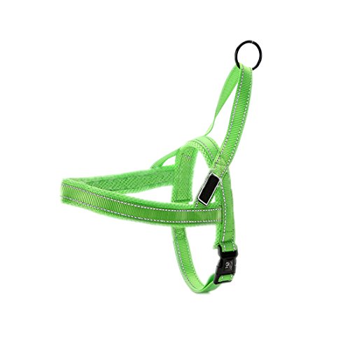 Hundegeschirr Mesh Welpengeschirr Nylon Norwegergeschirr Soft Vest Harness Brustgeschirre Reflektierende Sicherheitsgeschirr Brustgurt für Kleine, Mittlere und Große Hunde (S, grün-a) von feiling