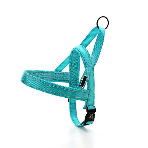 Hundegeschirr Mesh Welpengeschirr Nylon Norwegergeschirr Soft Vest Harness Brustgeschirre Reflektierende Sicherheitsgeschirr Brustgurt für Kleine, Mittlere und Große Hunde (S, grün-b) von feiling