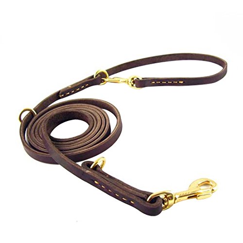 Mehrzweck Hundeleine Echtleder Walking Leine Umhängeleine Retriever Führleine Trainingsleine Handgemacht Doppelleine Freihand Moxonleine Laufleine für Mittlere und Große Hunde für Zwei Hund (braun) Mehrzweck Hundeleine Echtleder Walking Leine Umhängeleine Retriever Führleine Trainingsleine Handgemacht Doppelleine Freihand Moxonleine Laufleine für Mittlere und Große Hunde für Zwei Hund (braun) von feiling