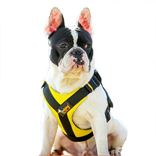 Ondoing Hundegeschirr Vest Harness Einstellbare Brustgeschirr Autogeschirr Haustier Gepolstert Geschirr Training für Kleine Mittlere und Grosse Hunde (S, gelb) von feiling