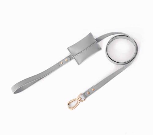 feiling 1.5M Hundeleine Leder mit Abnehmbare Kleine Tasche Hundführleine Lederleine für Kleine Mittlere Große Hunde (grau, 2.0cm*150cm) von feiling