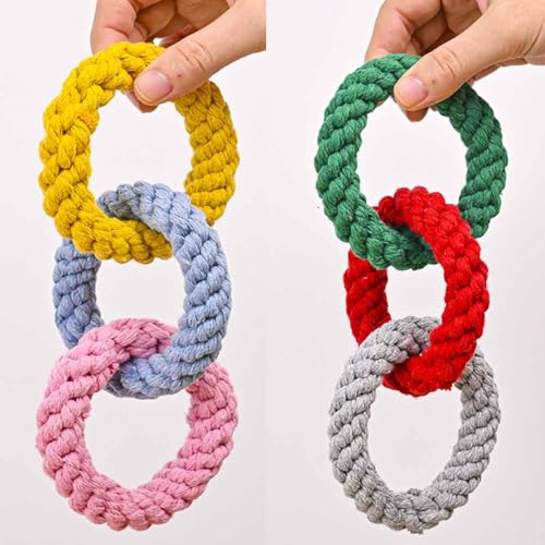 feiling 2 Stück Katzen Spielzeug Haustier Spielzeug Sugar Glider Hängende DREI-Ring-Kletterspielzeuge Schaukelspielzeuge Kleintierspielzeug feiling 2 Stück Katzen Spielzeug Haustier Spielzeug Sugar Glider Hängende DREI-Ring-Kletterspielzeuge Schaukelspielzeuge Kleintierspielzeug von feiling