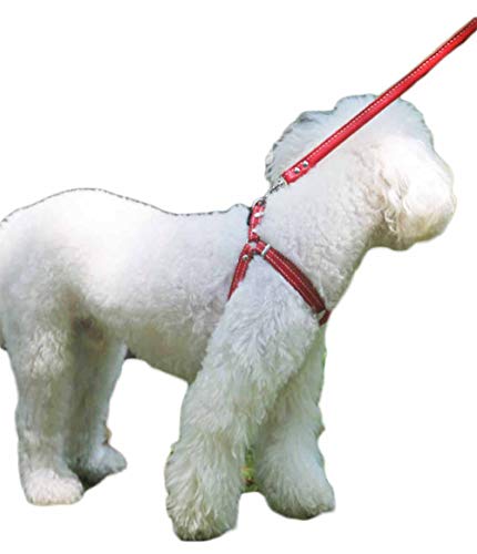 Hundegeschirr Kleine Hunde Leder Verstellbar feiling Hundegeschirr Welpen Brustgeschirr Haustier Ausbruchsicher Katzengeschirr Ledergeschirr Weichem mit 1.3m Hundeleine Leder (Rot) von feiling